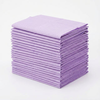 Plasdent Patient Bibs