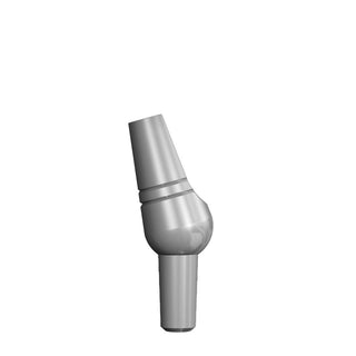 PERM ABUT 2.5MM-02_raw_1x1.jpg