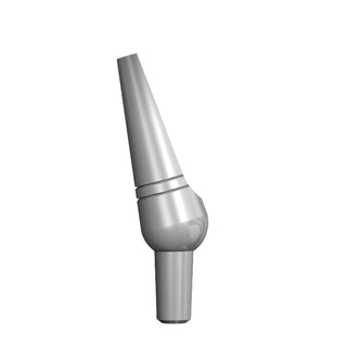 PERM ABUT 2.5MM-04_raw_1x1.jpg