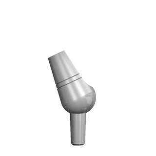 PERM ABUT 2.5MM-05_raw_1x1.jpg