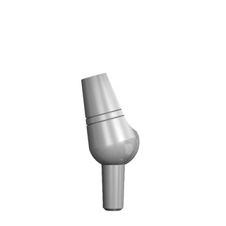 PERM ABUT 2.5MM-10_raw_1x1.jpg
