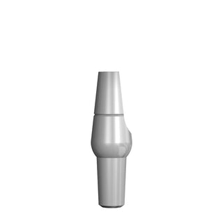 PERM ABUT 3MM-01_raw_1x1.jpg